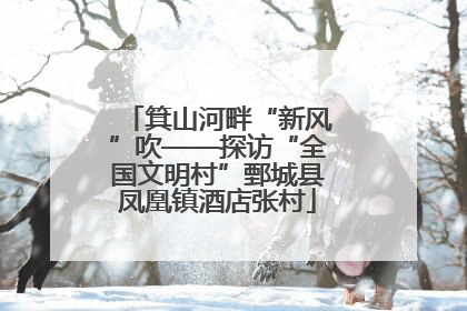 箕山河畔“新风”吹——探访“全国文明村”鄄城县凤凰镇酒店张村