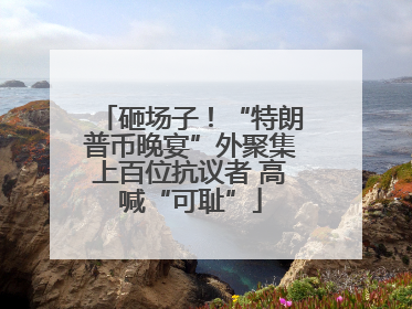 砸场子！“特朗普币晚宴”外聚集上百位抗议者 高喊“可耻”