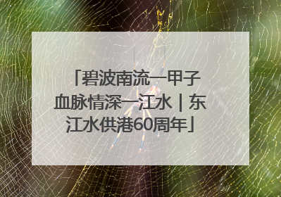 碧波南流一甲子 血脉情深一江水｜东江水供港60周年