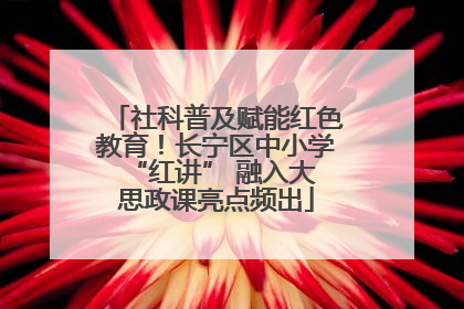 社科普及赋能红色教育！长宁区中小学 “红讲” 融入大思政课亮点频出