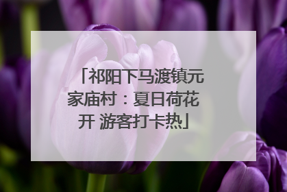 祁阳下马渡镇元家庙村：夏日荷花开 游客打卡热