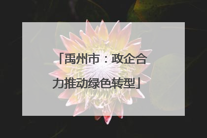 禹州市：政企合力推动绿色转型