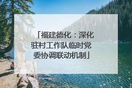 福建德化：深化驻村工作队临时党委协调联动机制