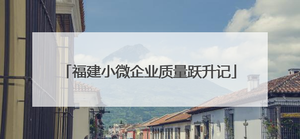 福建小微企业质量跃升记