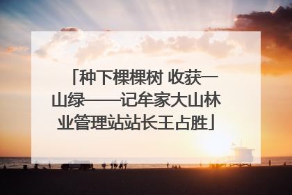 种下棵棵树 收获一山绿——记牟家大山林业管理站站长王占胜