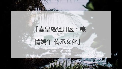 秦皇岛经开区：粽情端午 传承文化