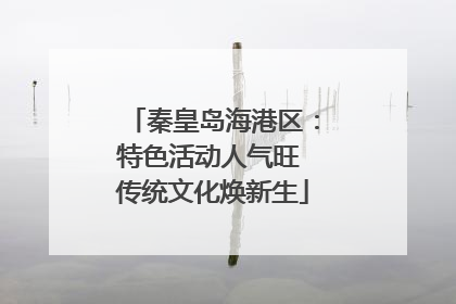 秦皇岛海港区：特色活动人气旺 传统文化焕新生