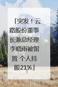 突发！云路股份董事长兼总经理李晓雨被留置 个人持股21%