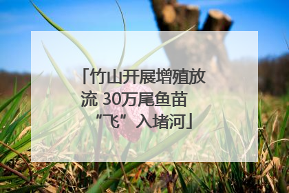 竹山开展增殖放流 30万尾鱼苗“飞”入堵河