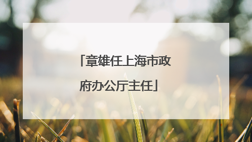 章雄任上海市政府办公厅主任