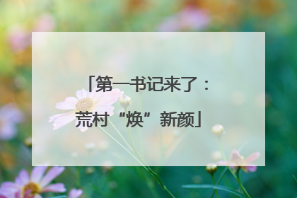 第一书记来了：荒村“焕”新颜