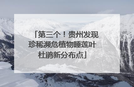 第三个！贵州发现珍稀濒危植物睡莲叶杜鹃新分布点
