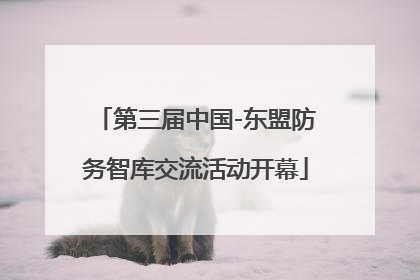 第三届中国-东盟防务智库交流活动开幕