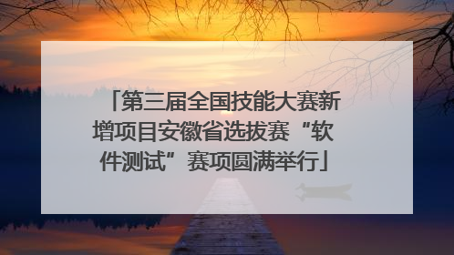 第三届全国技能大赛新增项目安徽省选拔赛“软件测试”赛项圆满举行
