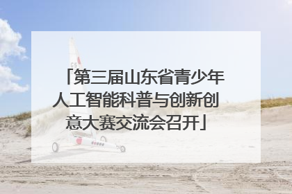 第三届山东省青少年人工智能科普与创新创意大赛交流会召开