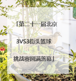 第二十一届北京3VS3街头篮球挑战赛圆满落幕