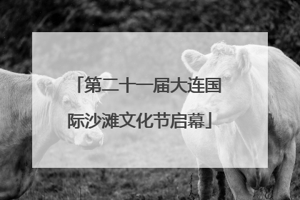 第二十一届大连国际沙滩文化节启幕