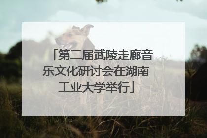 第二届武陵走廊音乐文化研讨会在湖南工业大学举行