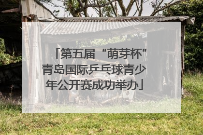 第五届“萌芽杯”青岛国际乒乓球青少年公开赛成功举办