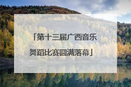 第十三届广西音乐舞蹈比赛圆满落幕