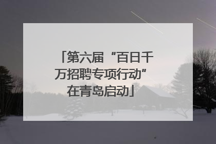 第六届“百日千万招聘专项行动”在青岛启动