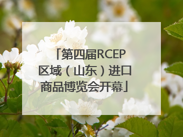 第四届RCEP区域（山东）进口商品博览会开幕