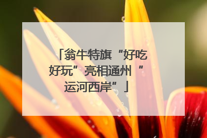翁牛特旗“好吃好玩”亮相通州“运河西岸”