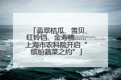 翡翠桔瓜、雪贝、红铃铛、金寿桃……上海市农科院开启“缤纷蔬菜之约”