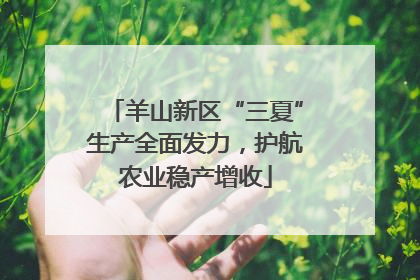 羊山新区“三夏”生产全面发力，护航农业稳产增收