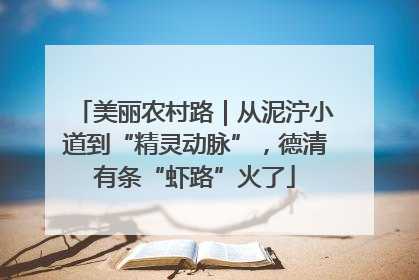 美丽农村路｜从泥泞小道到“精灵动脉”，德清有条“虾路”火了