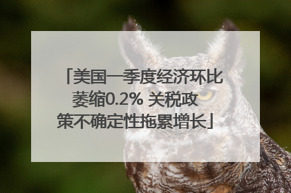 美国一季度经济环比萎缩0.2% 关税政策不确定性拖累增长