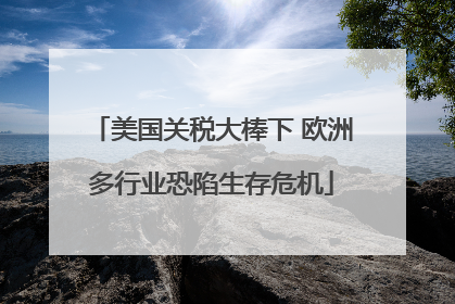 美国关税大棒下 欧洲多行业恐陷生存危机