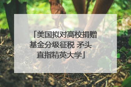 美国拟对高校捐赠基金分级征税 矛头直指精英大学