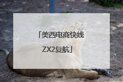 美西电商快线ZX2复航
