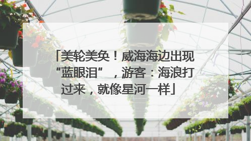 美轮美奂！威海海边出现“蓝眼泪”，游客：海浪打过来，就像星河一样
