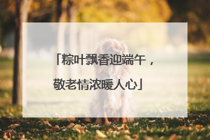 粽叶飘香迎端午，敬老情浓暖人心