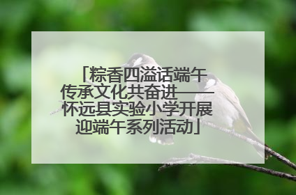 粽香四溢话端午 传承文化共奋进——怀远县实验小学开展迎端午系列活动
