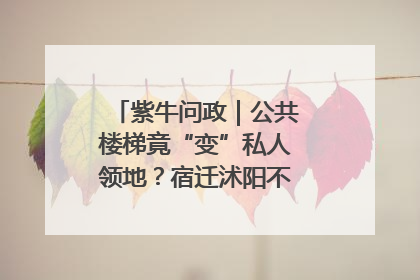紫牛问政｜公共楼梯竟“变”私人领地？宿迁沭阳不动产登记引质疑