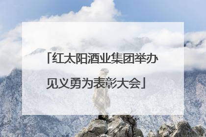 红太阳酒业集团举办见义勇为表彰大会
