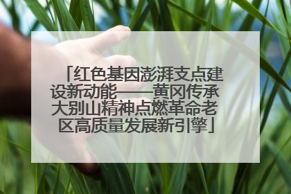 红色基因澎湃支点建设新动能——黄冈传承大别山精神点燃革命老区高质量发展新引擎