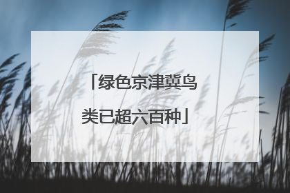 绿色京津冀鸟类已超六百种