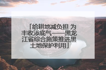 给耕地减负担 为丰收添底气——黑龙江省综合施策推进黑土地保护利用