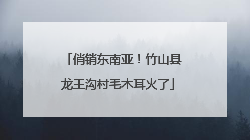 俏销东南亚！竹山县龙王沟村毛木耳火了