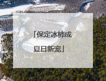 保定冰柿成夏日新宠