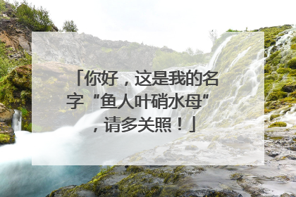 你好，这是我的名字“鱼人叶硝水母”，请多关照！