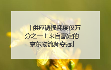供应链损耗度仅万分之一！来自嘉定的京东物流师夺冠