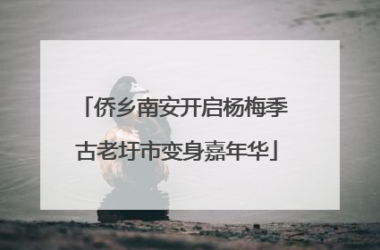 侨乡南安开启杨梅季 古老圩市变身嘉年华