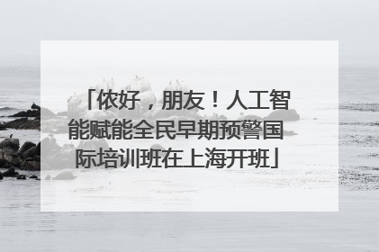 侬好，朋友！人工智能赋能全民早期预警国际培训班在上海开班