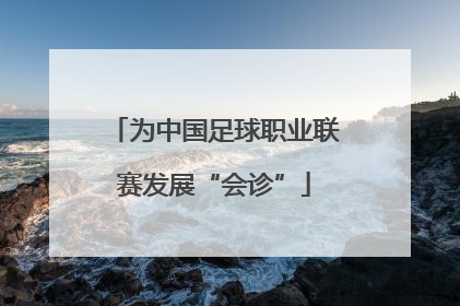 为中国足球职业联赛发展“会诊”