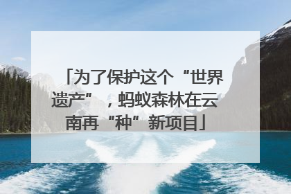 为了保护这个“世界遗产”，蚂蚁森林在云南再“种”新项目